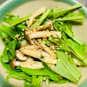 シャキシャキ水菜とごま油風味しめじのサラダ